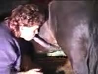 Big horse dick cumming inside a whore's pussy